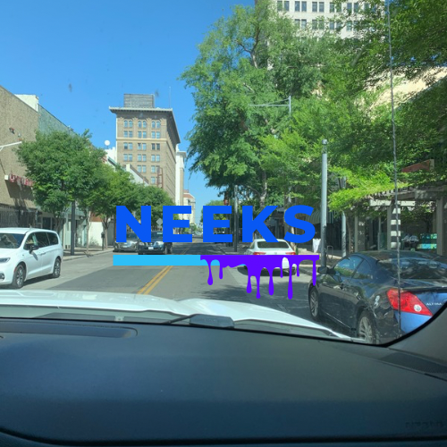 Short sleeve NEEKS t-shirt